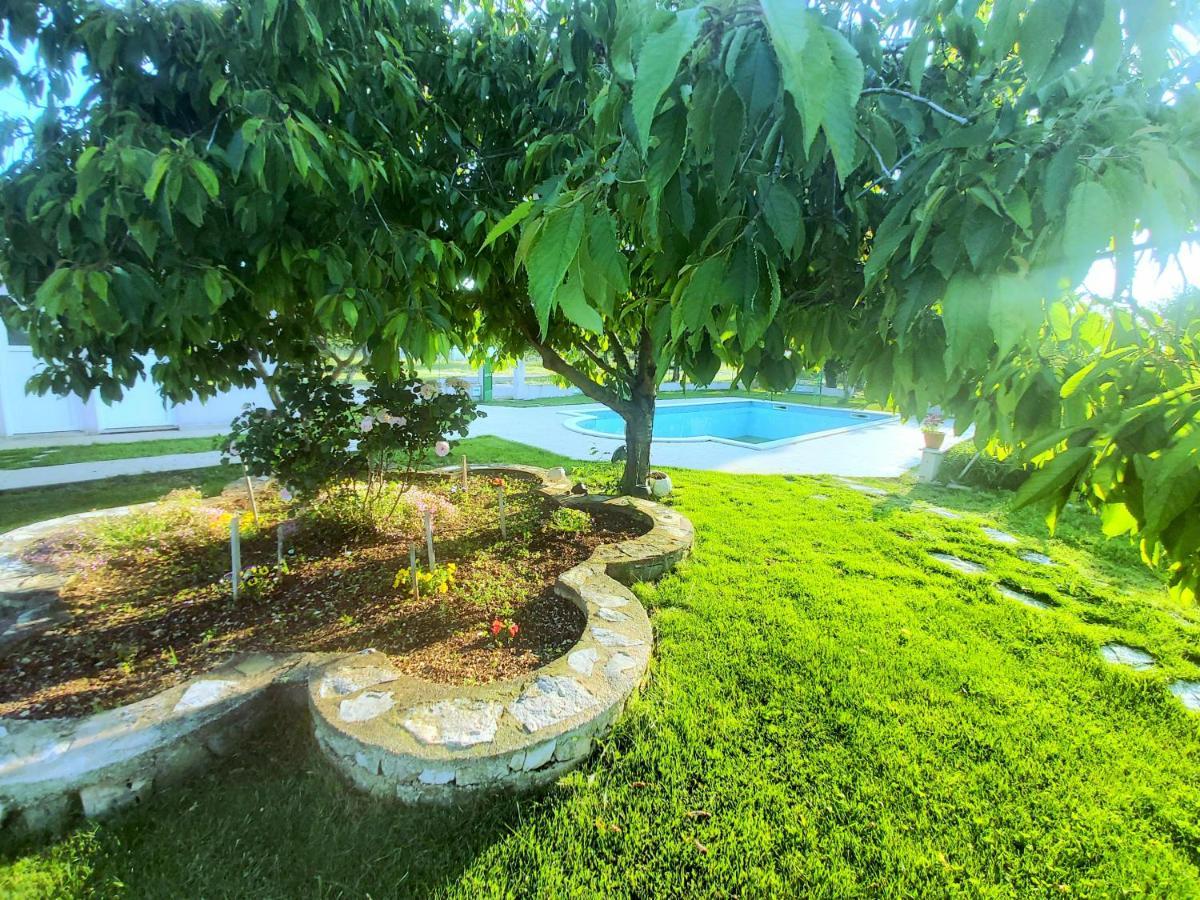 Kaja House Apartments Lozovac Bagian luar foto