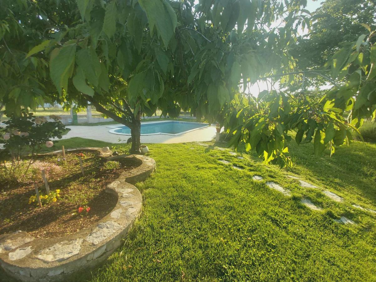 Kaja House Apartments Lozovac Bagian luar foto