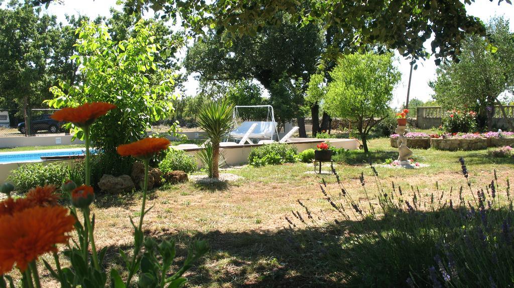 Kaja House Apartments Lozovac Bagian luar foto